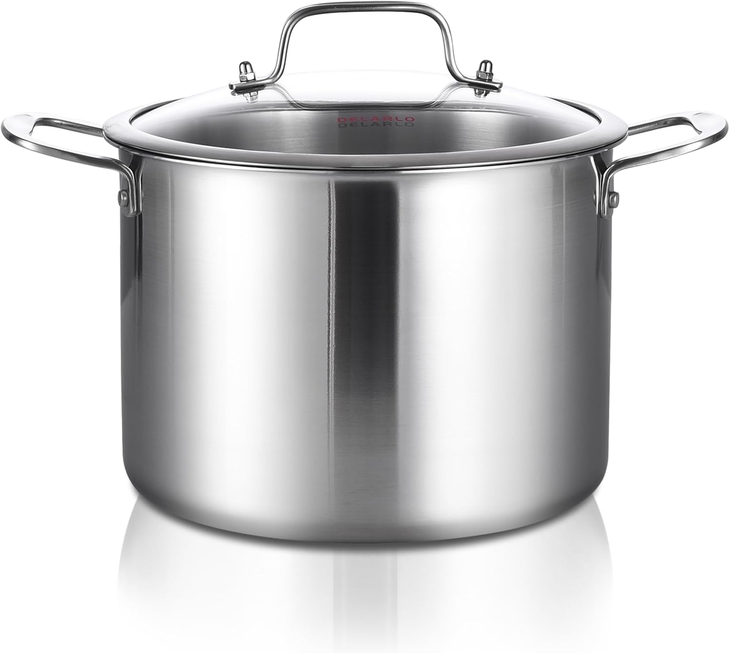 DELARLO Tri-Ply Stainless Steel Soup Pot 12QT, Tri-ply Big Pots for Cooking, 18/10 whole clad Stainless Steel Pot, Fast Even Heat, 12 QT Stock cookware with Lid, Pasta Pot, Induction Ready Up to 600℉