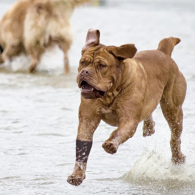 Cohesive Bandage 2” x 5 Yards, 8 Rolls, Self Adherent Wrap Medical Tape, Adhesive Flexible Breathable First Aid Gauze Ideal for Stretch Athletic. for First Aid Medical,Sports Injuries.(Black)