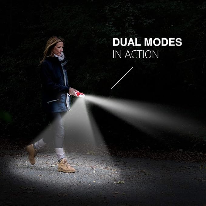 Energizer WeatherReady Floating Handheld LED Light, 100 Lumen, IPX7 Waterproof, Durable Plastic LED Flashlight, Great Waterproof Flashlight, Batteries Included