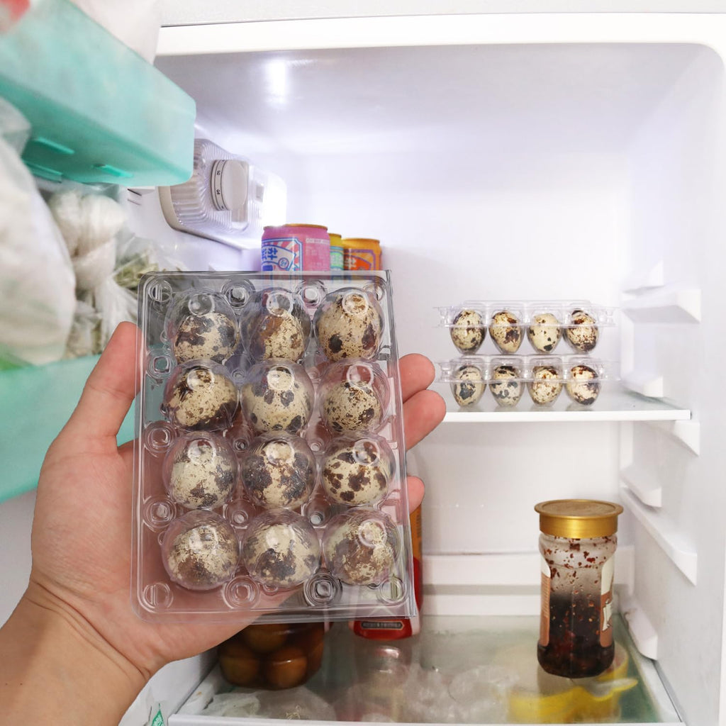 200 Pack Quail Egg Cartons, Clear Plastic Quail Egg Trays, Holds up to 12 Quail Eggs Securely - Your Ultimate Small Eggs Carton Holders for Bulk Storage and Display