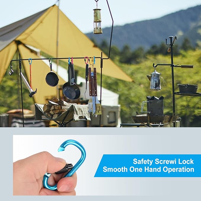 10 Pack Aluminum D Ring Key Rings Hiking Clips Locking Carabiner for Hiking Camping Fishing and Outdoor Use，Clips with Screw Gate Multicolored