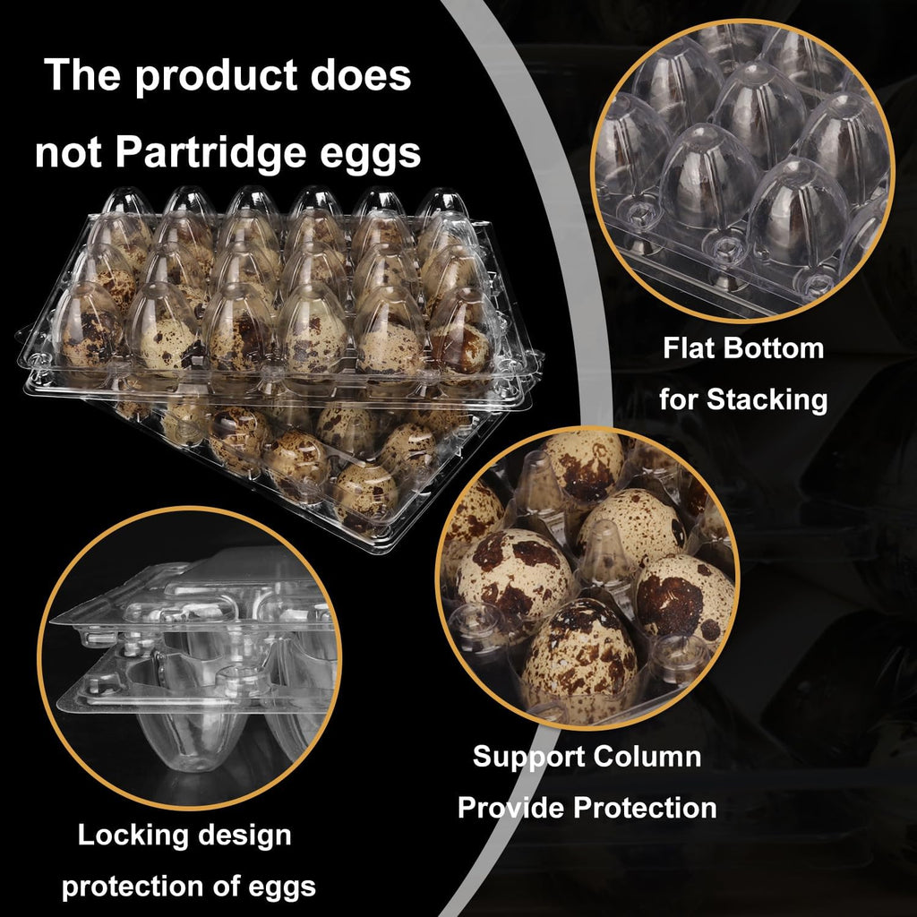 120 Pack Quail Egg Cartons - Clear Plastic Trays Hold 24 Eggs Securely, Ultimate Small Egg Holders for Bulk Storage and Display