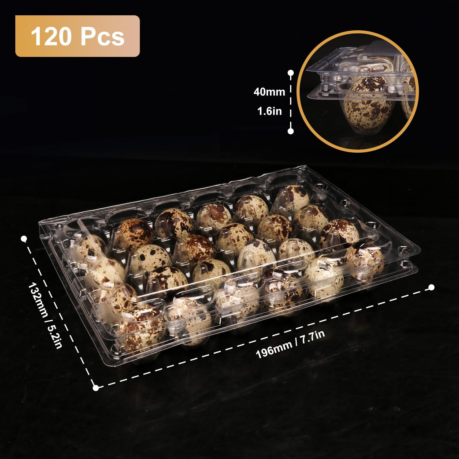120 Pack Quail Egg Cartons - Clear Plastic Trays Hold 24 Eggs Securely, Ultimate Small Egg Holders for Bulk Storage and Display