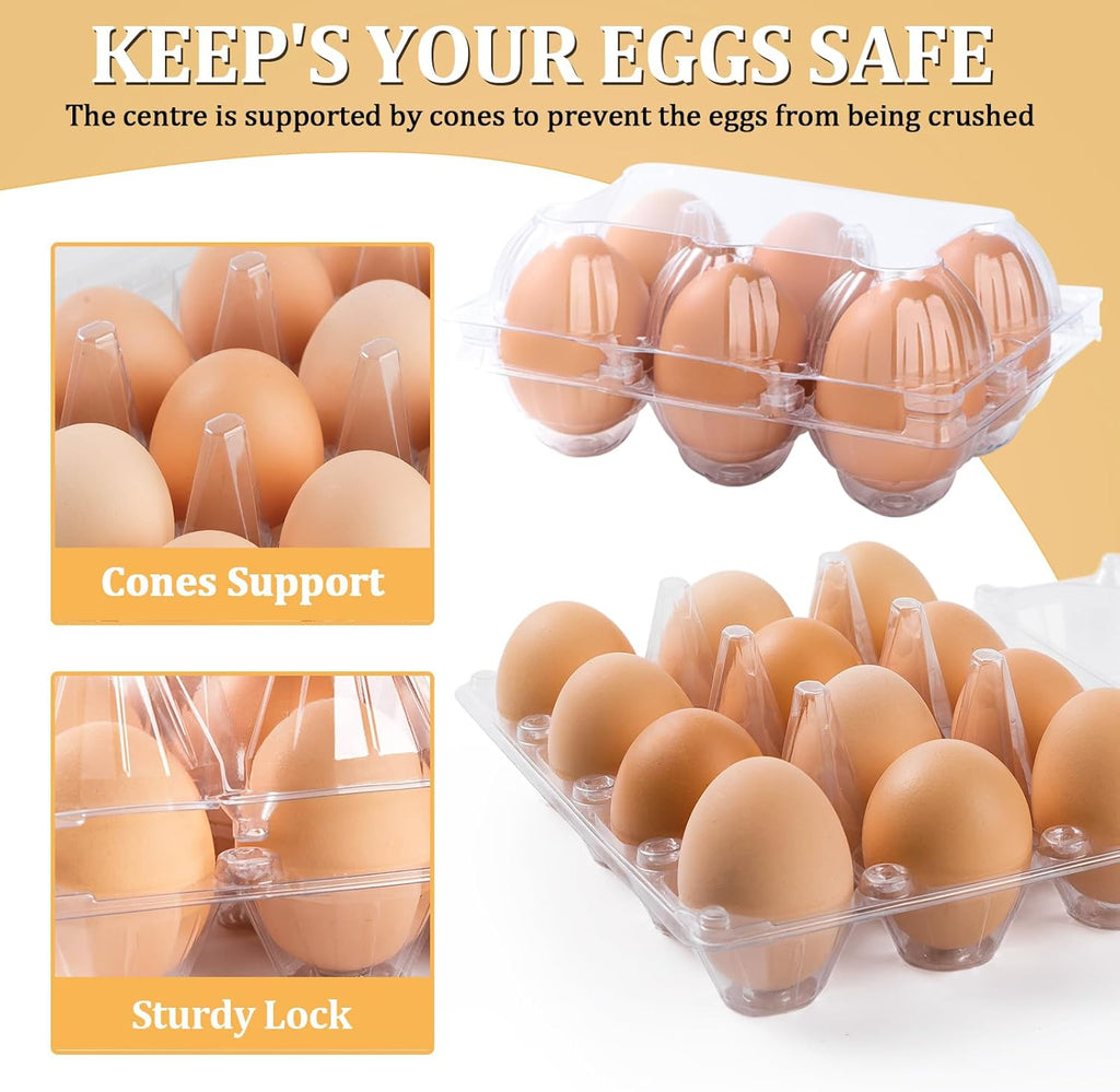 200PCS Clear Plastic Egg Cartons 6 Count,Half Dozen Egg Cartons Cheap Bulk for Chicken Eggs,Reusable Egg Holder for Family,Pasture,Farm Markets Display - Medium Egg Containers 2x3 Grids