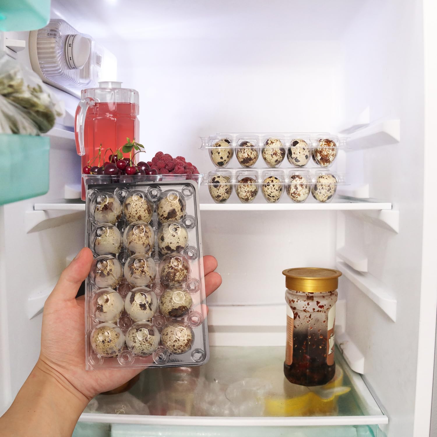 200 Pack Quail Egg Cartons, Clear Plastic Quail Egg Trays, Holds up to 15 Quail Eggs Securely - Your Ultimate Small Eggs Carton Holders for Bulk Storage and Display