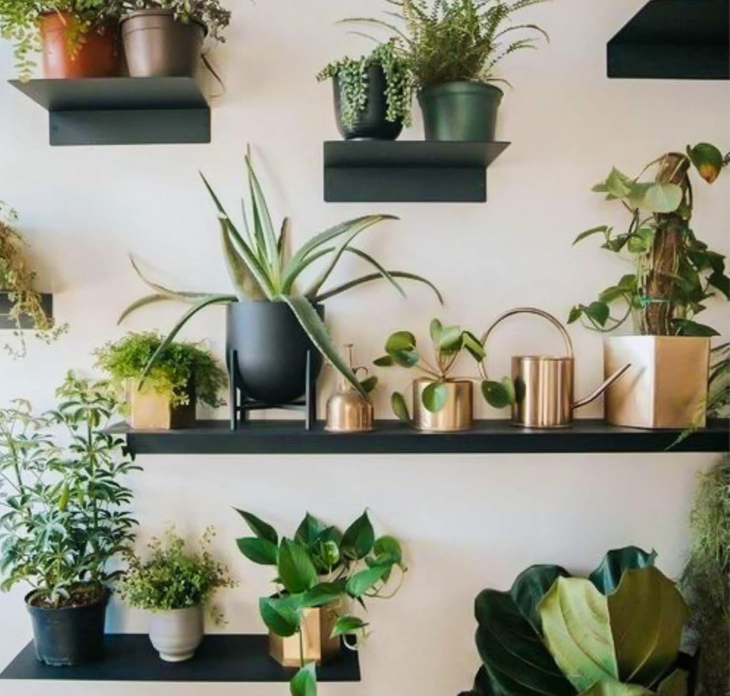 DIY CARTEL Made in USA Linear Floating Shelf - Raw Steel/Metal - Industrial Heavy Duty Metal Wall Mounted Modern Rustic Shelf Ledge (48-inch x 8-inch)