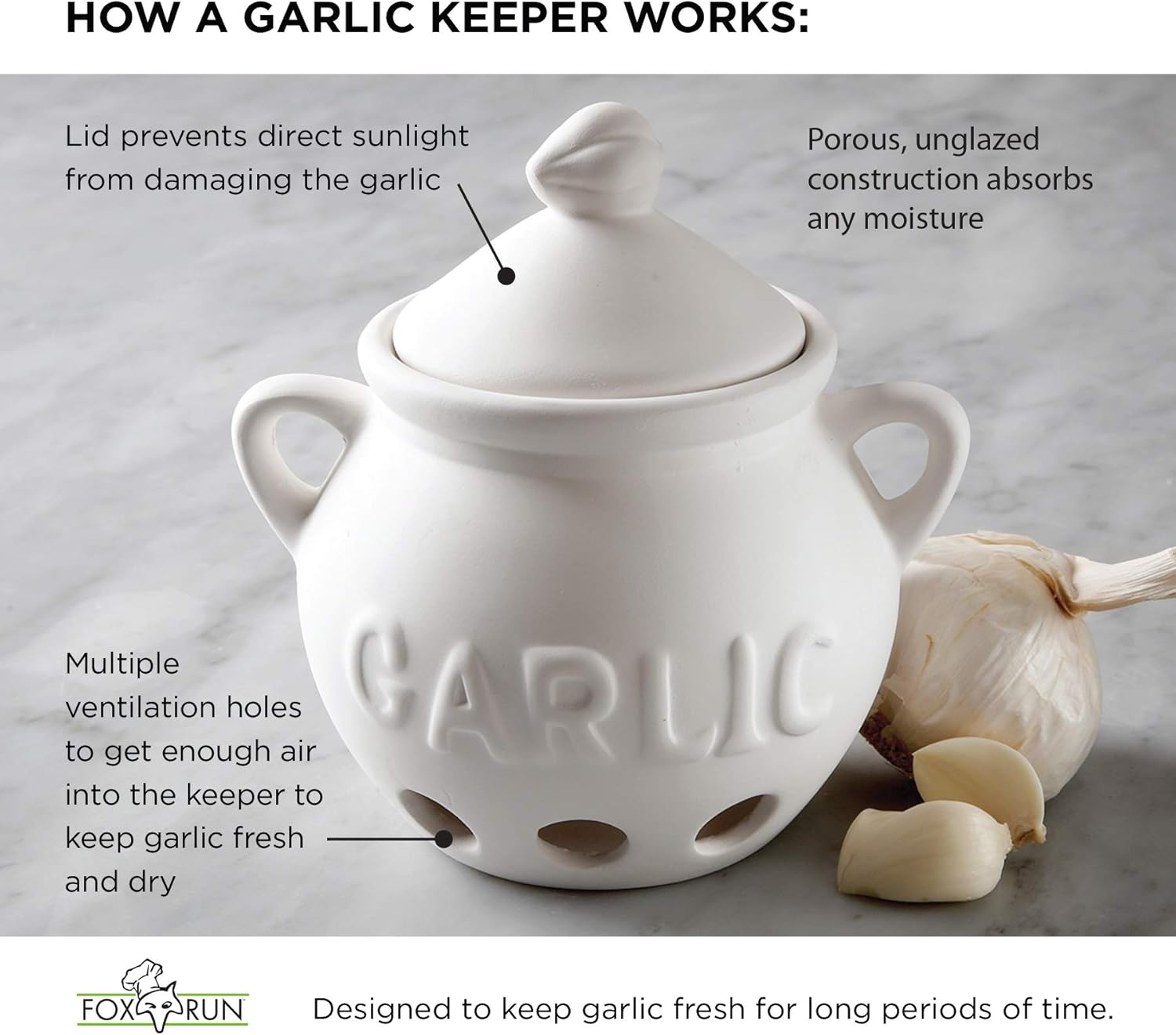 Fox Run Garlic Keeper and Storage, White Ceramic, 5.25" x 4.25" x 5.5"