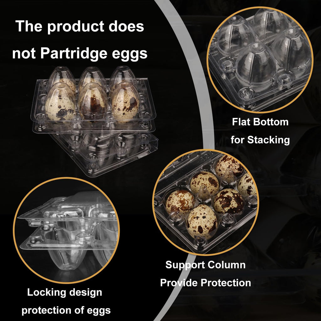300 Pack Quail Egg Cartons, Clear Plastic Quail Egg Trays, Holds up to 6 Quail Eggs Securely - Your Ultimate Small Eggs Carton Holders for Bulk Storage and Display
