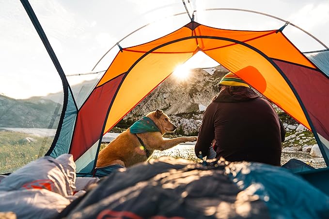 Kelty Cosmic Synthetic Fill 40 Degree Backpacking Sleeping Bag with Compression Straps, Compact and Lightweight, 2022