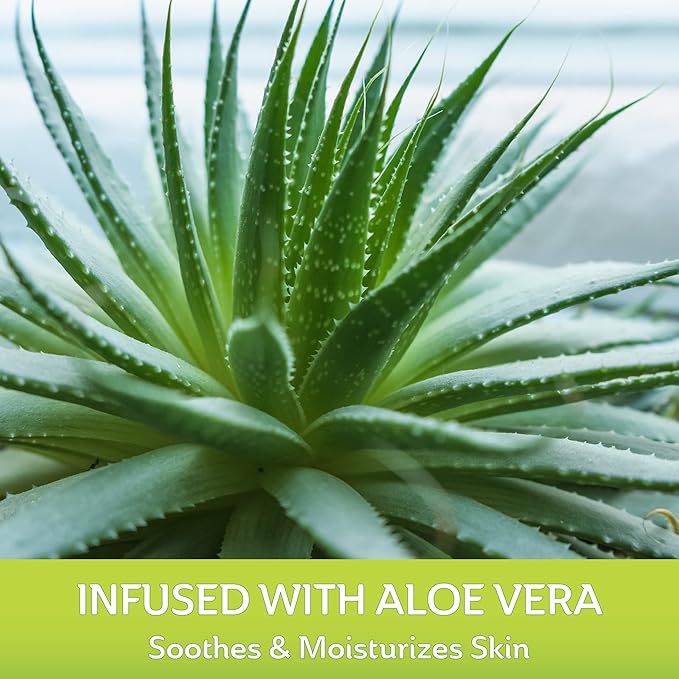 CURAD Naturals Aloe Vera & Vitamin E Bandages 2" x 4", Individually Wrapped Sterile Bandage, First Aid Kit Essential, Protects Scrapes and Cuts, Absorbent and Self-Adhesive, 8-Count-4 Boxes