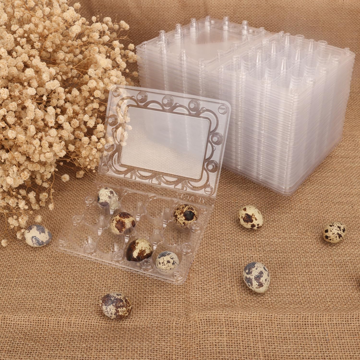 200 Pack Quail Egg Cartons, Clear Plastic Quail Egg Trays, Holds up to 12 Quail Eggs Securely - Your Ultimate Small Eggs Carton Holders for Bulk Storage and Display