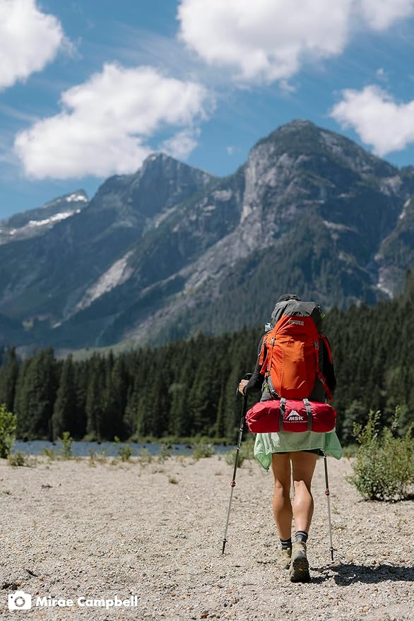 MSR Elixir 1-Person Lightweight Backpacking Tent