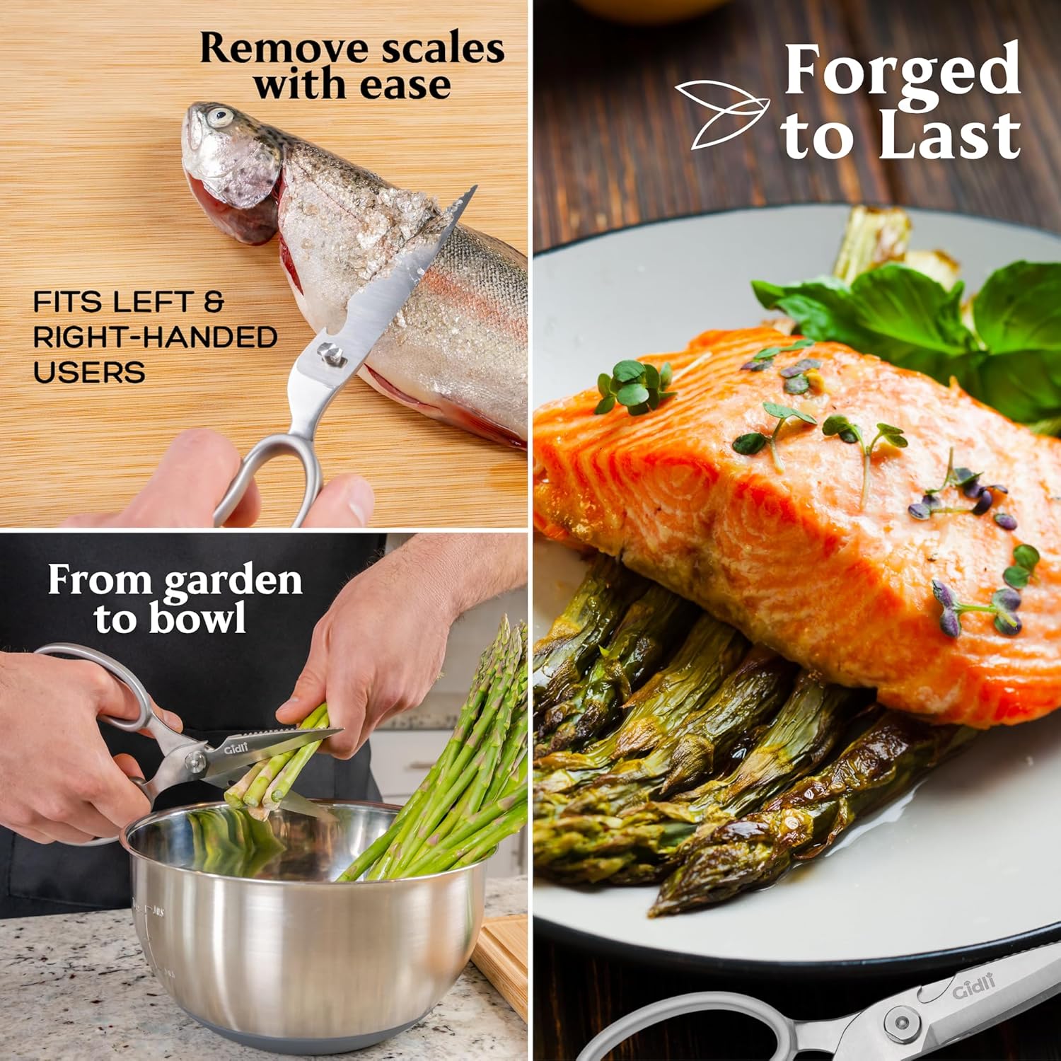 Premium Kitchen Scissors by Gidli – Lifetime Replacement Warranty* - Heavy Duty Kitchen Shears for Food – All-Purpose Stainless Steel Scissors – Dishwasher Safe, Comes Apart for Easy Cleaning