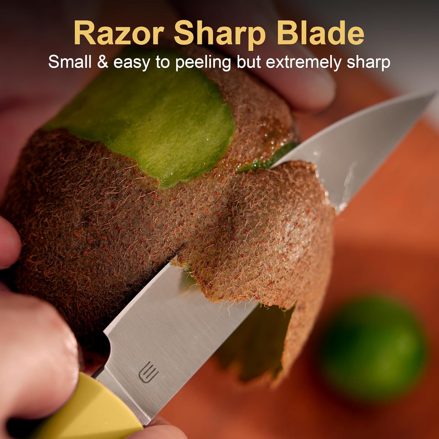 3.5 Inch Paring Knife, Small Kitchen Knife with AR-RPM9 Steel Replaceable Ergonomic Handle, Ultra Sharp Fruit Vegetable Knife for Peeling Coring Cutting