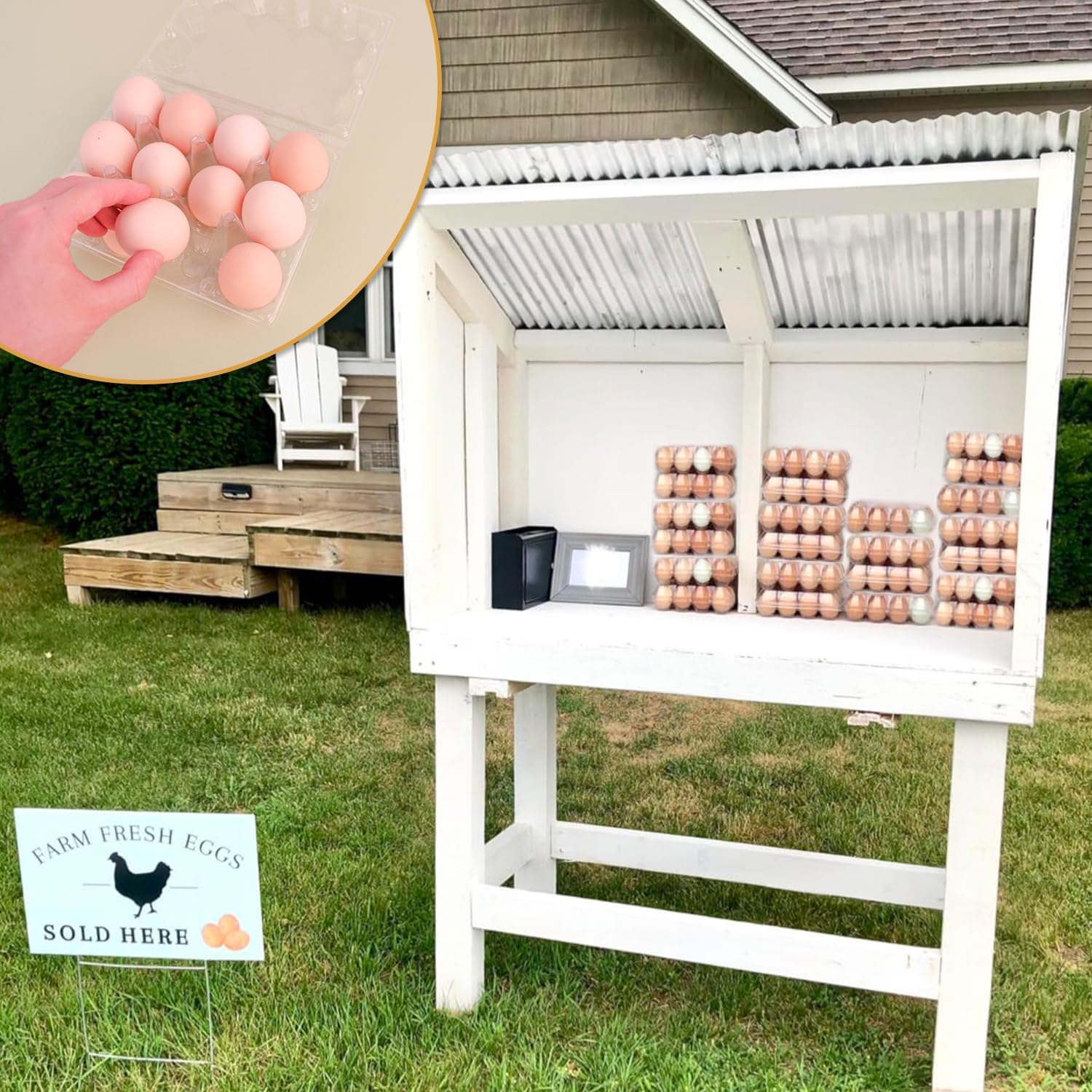 100 Pack Bulk Egg Cartons, Clear Plastic Chicken Egg Holders, Egg Tray Carton Holder for Home & Kitchen, Farm & Market Use, An Eco-Friendly Egg Storage Solution, 12 Grids(Medium Size)