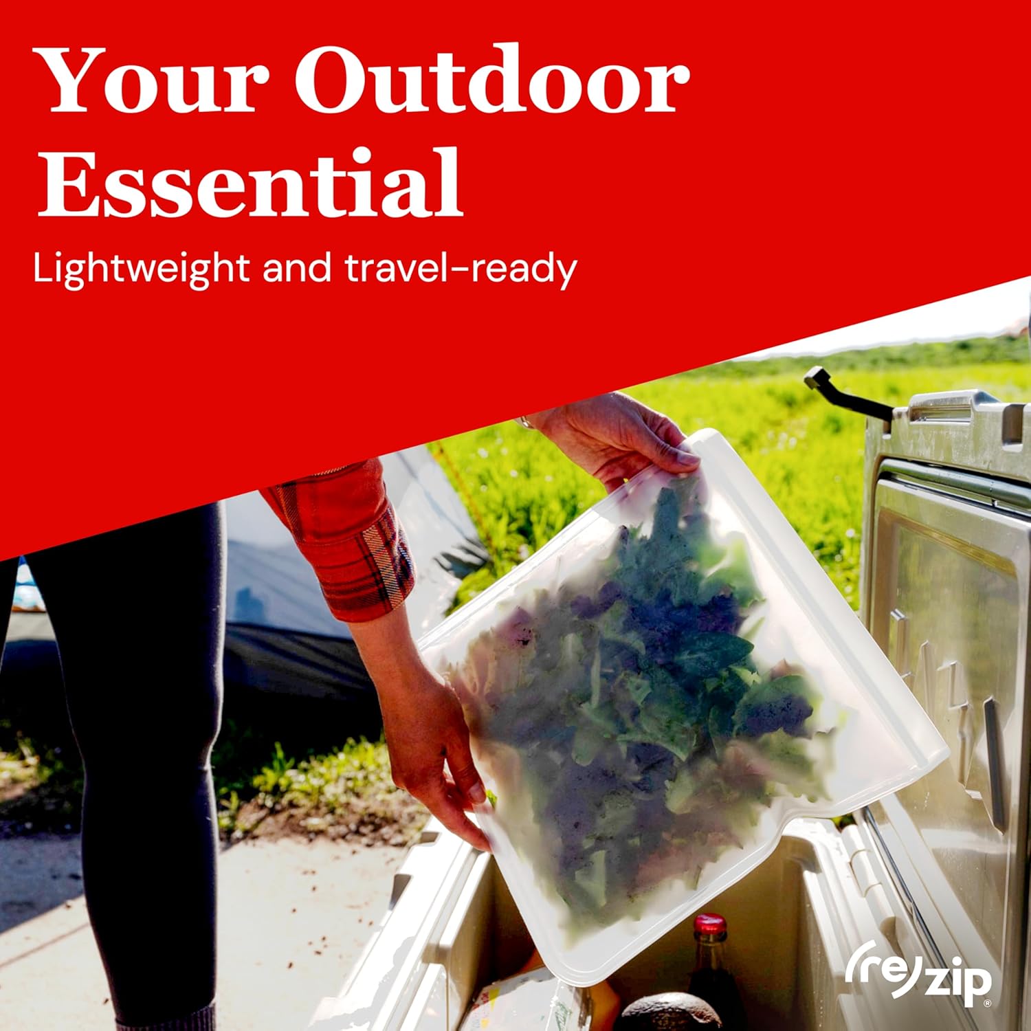 (re) zip Gallon Reusable Bags | BPA-Free, Food Grade, Leakproof, Freezer and Dishwasher Safe | Holds 16 Cups / 128 Fl Oz | 8-Pack (Clear)