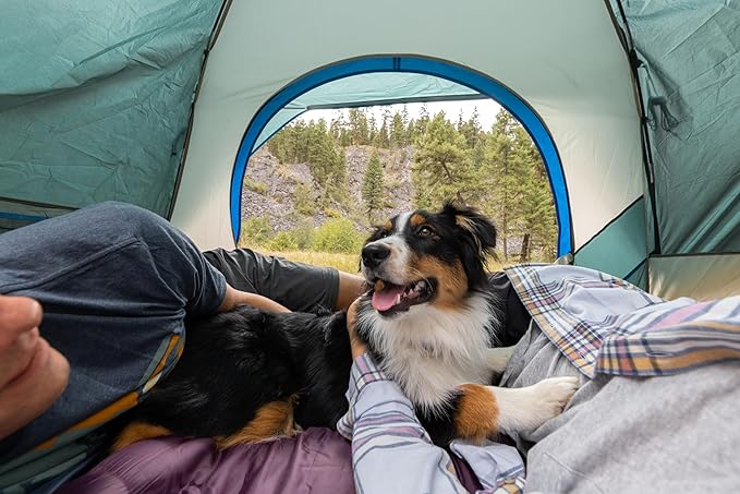 Coleman Skydome Series Camping Tent Weatherproof Tent Includes Pre-Attached Poles Rainfly Carry Bag and Unique Pattern Sets up in 5 Minutes