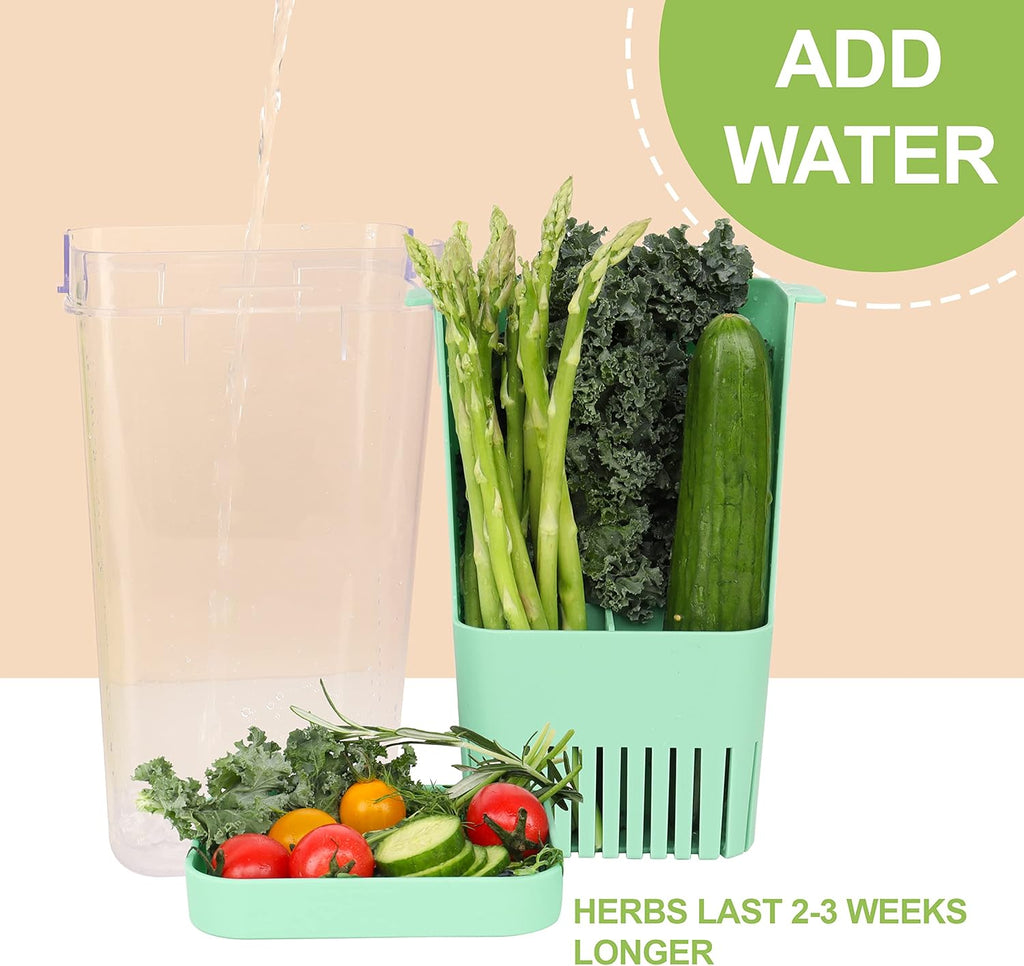 2 Pack Herb Keeper, BPA-Free Plastic Herb Saver with an Inner Basket for Cilantro, Mint, Parsley, and Asparagus, Keeps Fresh Herbs for 3 Times Longer
