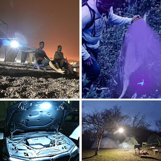UV Flashlight Camping Light , IODOO 10000mAh 48 LED 395nm UV / 6500K Floodlight 3000LM White Light Pet Urine Detector for Dog/Cat Urine, Dry Stains, Bed Bug