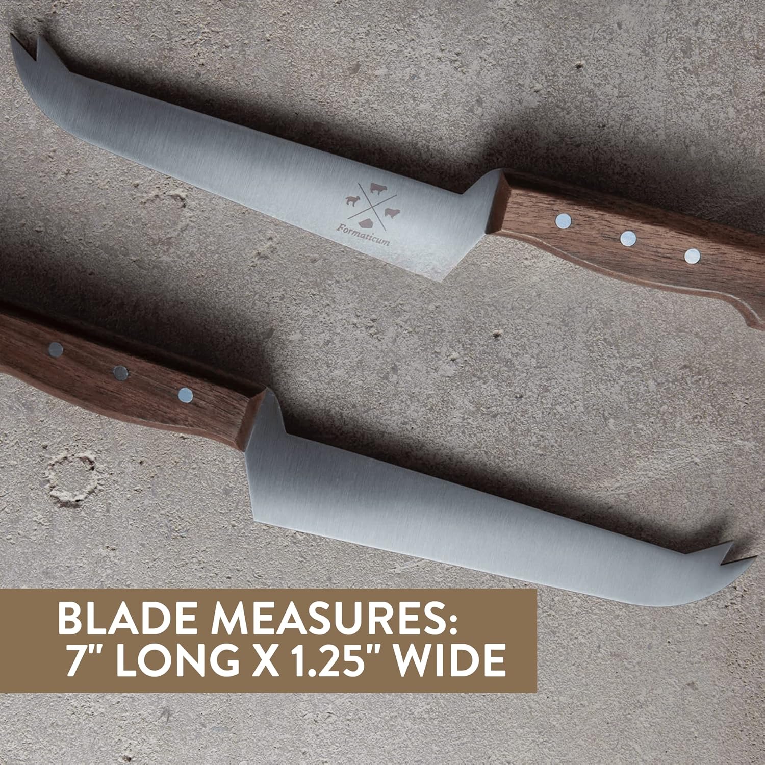 Formaticum - Professional Tasting Cheese Knife - 7" x 1.25" All Types of Cheese Slicer, Stainless Steel Blade, Fork Tip and Walnut Handle, Great Cheese Charcuterie Accessories - Handmade in Italy