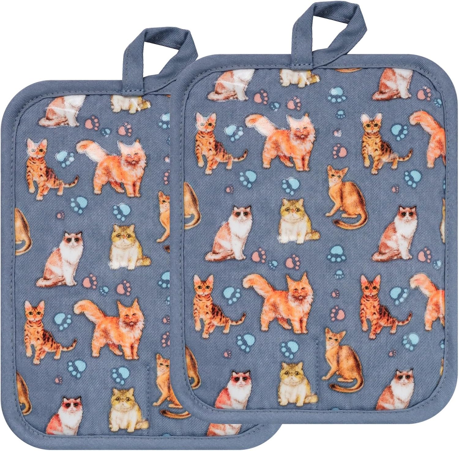 Pot Holders Set of 2 Heat Resistant 480 ℉Non Slip Clear Silicone Printed Comfortable Cotton Lining Kitchen Women Men Cooking Baking Microwave Machine Washable (Cat, Blue potholders)