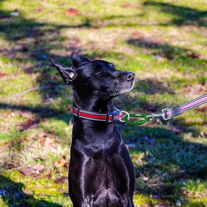 12kN (2697 lbs) Heavy Duty, Locking, Auto Locking, Wiregate Carabiner Clips, for Securing Pets, Outdoor, Camping, Hiking, Hammock, Dog Leash Harness, Keychains